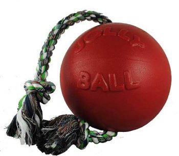 Jolly-Pets-Romp-n-Roll-Ball-With-Rope