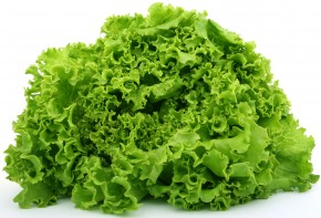picture of lettuce