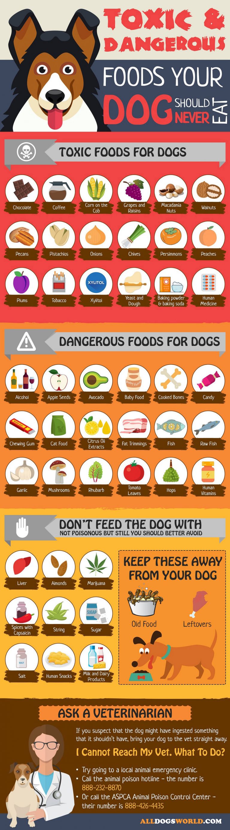 Toxic Foods for Dogs List: Dangerous foods for dogs | alldogsworld.com